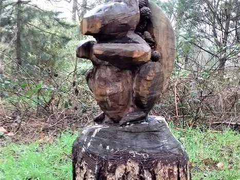 2021-01 Vincennes Jocelyne D, détail sortie