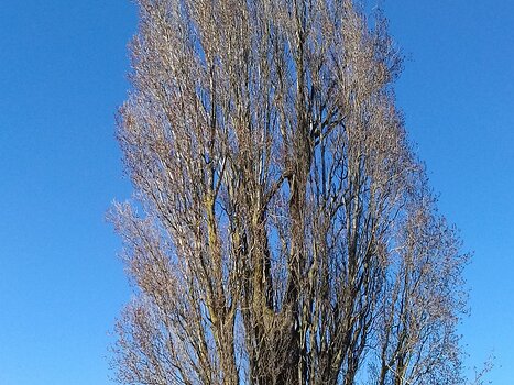 2021-02 Meaux Jocelyne D, détail sortie