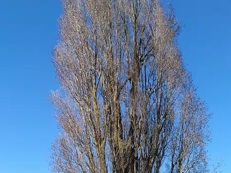 2021-02 Meaux Jocelyne D, détail sortie