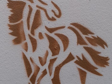 2021-02 Saint-Rémy -lès-Chevreuse Jocelyne D, détail sortie