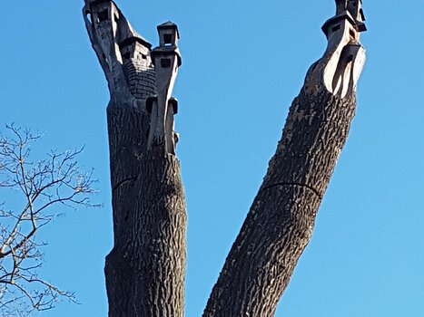 2021-02 Vincennes zen Céline F, détail sortie