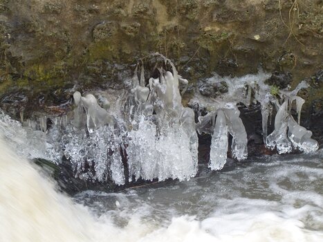 2021-02 Yvette Dominique F, détail sortie