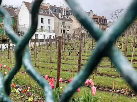 2021-04 Parc Monceau Pascale L, détail sortie