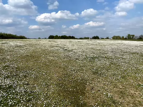 2021-04 Saint-Denis Bernadette P, Eric G, détail sortie