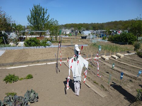 2021-04 Villeneuve-Saint-Georges dominique F, détail sortie