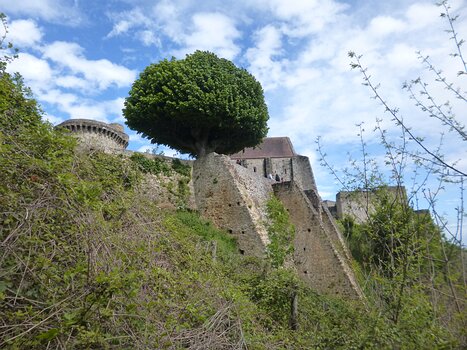 2021-05 Gif-sur-Yvette Dominique F, détail sortie