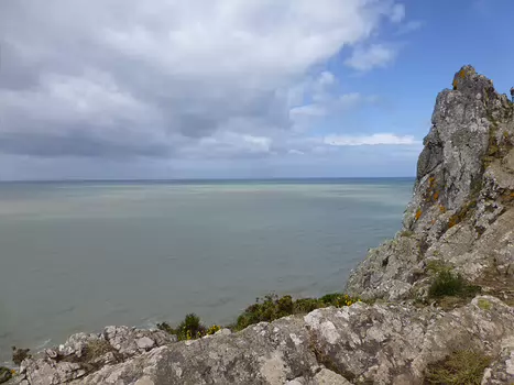 2021-05 Granville Isabelle R, détail sortie