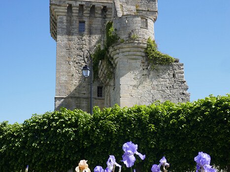 2021-05 Mareuil-sur-Ourcq François G, détail sortie