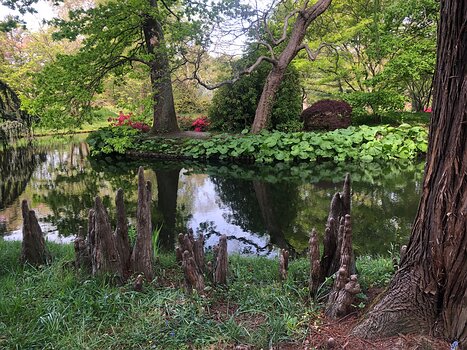 2021-05 Vallée aux Loups Isabelle T, détail sortie
