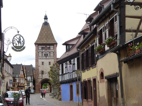 2021-05 Vosges Syndey W, Marie M, Gabriel S, détail sortie
