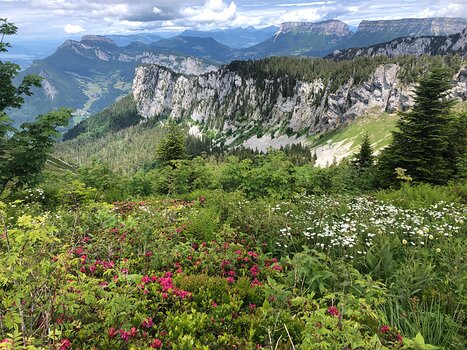 2021-06 Chartreuse Jean-André C, détail sortie