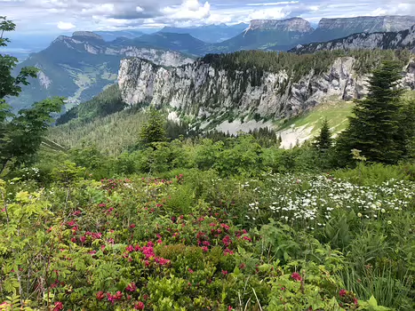 2021-06 Chartreuse Jean-André C, détail sortie