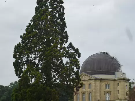 2021-06 Meudon Dominique F, détail sortie