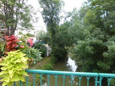 2021-07 Bords de Marne Dominique F, détail sortie