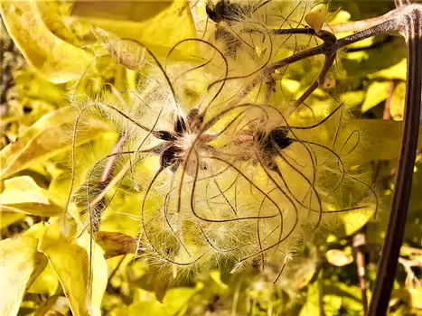 2021-10 Luberon Danielle H, Sylvie F, Patricia L, Ali P, Xavier L, détail sortie