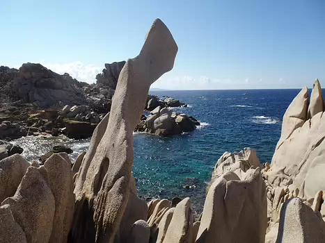 2021-10 Sardaigne Détail sortie