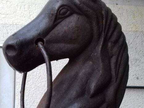 2021-11 Écouen Jocelyne D, détail sortie