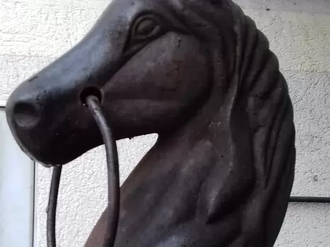 2021-11 Écouen Jocelyne D, détail sortie