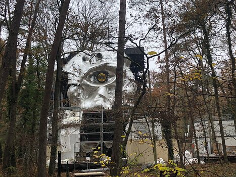 2021-11 Maisse Isabelle T, détail sortie