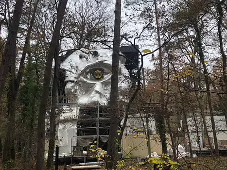 2021-11 Maisse Isabelle T, détail sortie