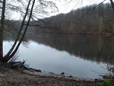 2021-12 Versailles Jocelyne D, détail sortie