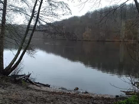 2021-12 Versailles Jocelyne D, détail sortie