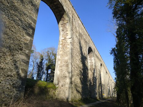 2022-01 Bièvre Dominique F, détail sortie