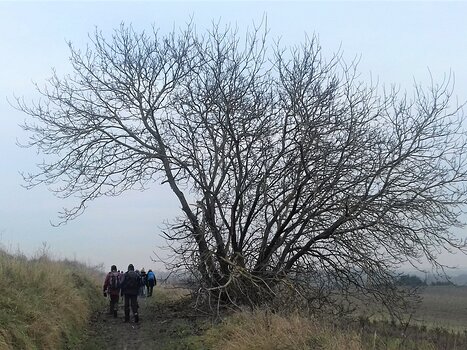 2022-01 Egly Jocelyne D, détail sortie