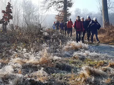 2022-01 Montmorency Philippe G, détail sortie