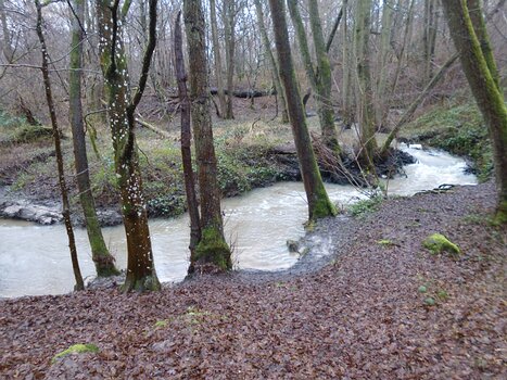 2022-01 Rambouillet Dominique F, détail sortie