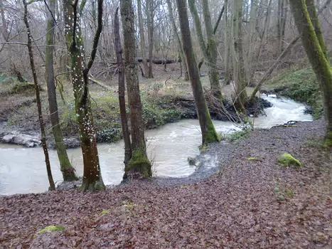 2022-01 Rambouillet Dominique F, détail sortie