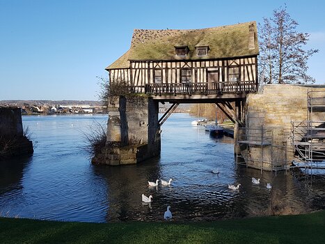 2022-02 Giverny Xavier G, détail sortie