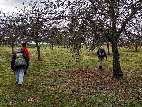 2022-02 Hurepoix Détail sortie
