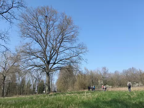 2022-03 Mortcerf Hélène B, détail sortie