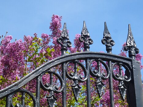 2022-04 Luzarches Dominique F, détail sortie