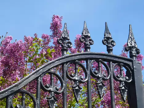 2022-04 Luzarches Dominique F, détail sortie