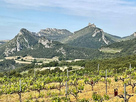 2022-04 Malaucène Olivier R, détail sortie