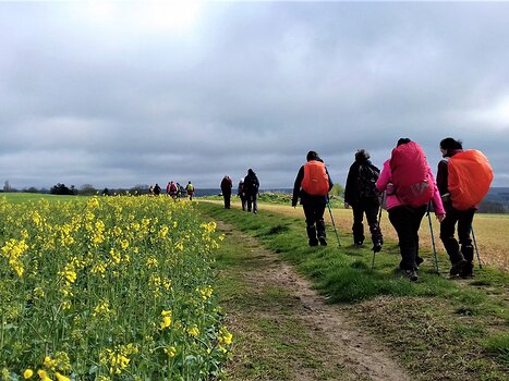 2022-04 Mareil-sur-Mauldre Jocelyne D, détail sortie