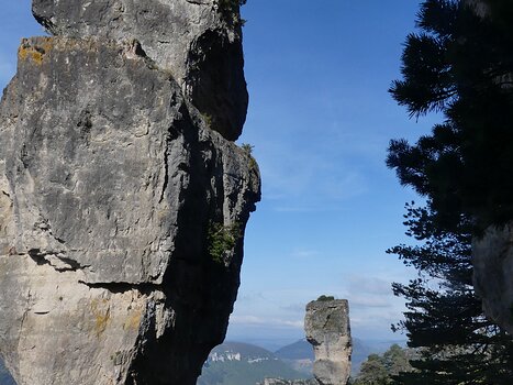 2022-04 Tarn Christian D, détail sortie