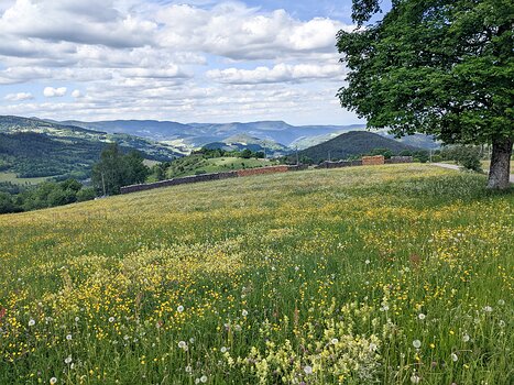 2022-05 Alsace - Vosges Alice P, Fabienne R, Julia M, Xavier L, détail sortie
