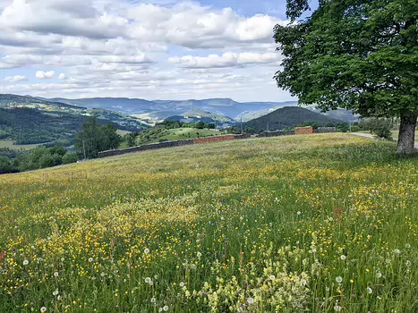 2022-05 Alsace - Vosges Alice P, Fabienne R, Julia M, Xavier L, détail sortie