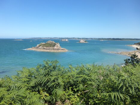 2022-05 Roscoff Dominique F, détail sortie