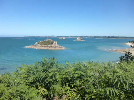 2022-05 Roscoff Dominique F, détail sortie