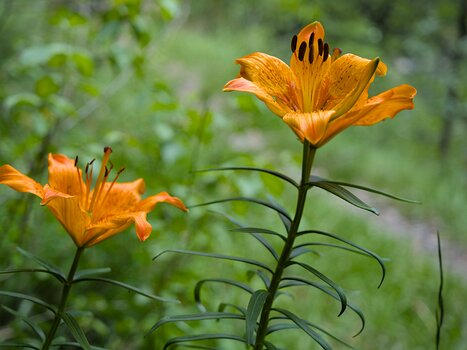 2022-06 Massif des Ecrins Jean D, Xavier L, détail sortie