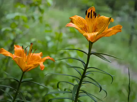 2022-06 Massif des Ecrins Jean D, Xavier L, détail sortie