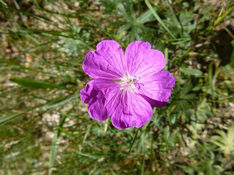 2022-06 Moret Dominique F, détail sortie