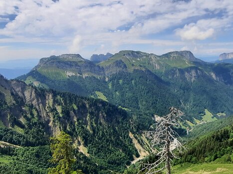 2022-06 Tour de La Tournette Nathalie J, détail sortie