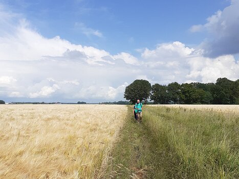 2022-06 Vernou-sur-Seine Liliane M, Alice P, détail sortie