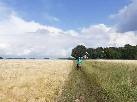 2022-06 Vernou-sur-Seine Liliane M, Alice P, détail sortie