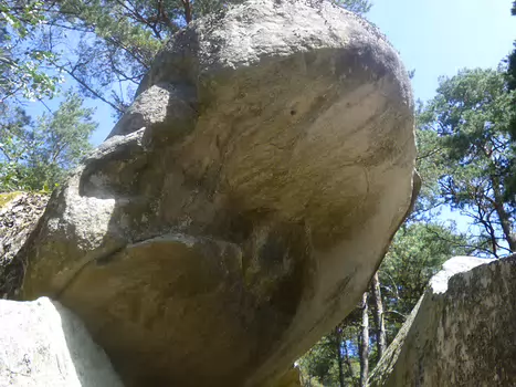 2022-07 Bois-le-Roi Dominique F, détail sortie